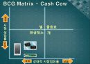 BCG Matrix  15페이지