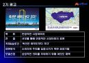 Auction 기업 분석 12페이지