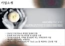 설화수 광고기획서  3페이지