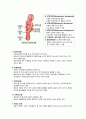OBGY Case 자궁 근종 (Myoma Uteri) 4페이지