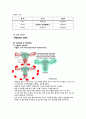 OBGY Case 자궁 근종 (Myoma Uteri) 10페이지