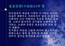진시황과 병마용갱 8페이지
