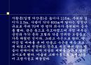 진시황과 병마용갱 9페이지