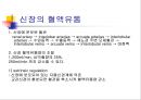 [기초치료학] 신장생리 5페이지