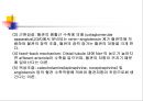 [기초치료학] 신장생리 8페이지