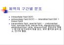 [기초치료학] 신장생리 24페이지