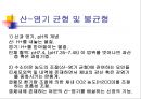 [기초치료학] 신장생리 36페이지