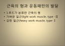[운동치료학] 루드 접근법 (Rood’s approch).ppt 8페이지