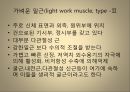 [운동치료학] 루드 접근법 (Rood’s approch).ppt 9페이지