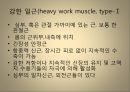 [운동치료학] 루드 접근법 (Rood’s approch).ppt 10페이지