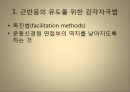 [운동치료학] 루드 접근법 (Rood’s approch).ppt 15페이지