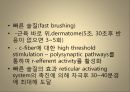 [운동치료학] 루드 접근법 (Rood’s approch).ppt 16페이지