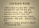 [운동치료학] 루드 접근법 (Rood’s approch).ppt 20페이지