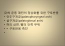 [운동치료학] 루드 접근법 (Rood’s approch).ppt 30페이지