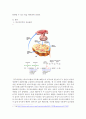 경구피임약의 작용원리와 우리사회에 미친 영향(우리 사회에 큰 영향을 끼친 의약품) 3페이지