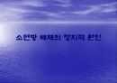 소연방 해체의 정치적 원인  1페이지