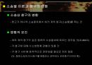 소송물과 소의 병합  8페이지