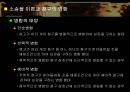 소송물과 소의 병합  9페이지