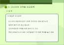 러시아 대외정책 과제  9페이지