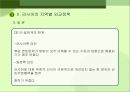러시아 대외정책 과제  12페이지