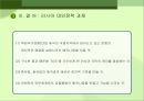 러시아 대외정책 과제  17페이지