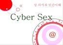 사이버섹스의매커니즘,사이버문화,성문화,성의식 1페이지