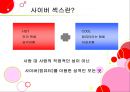 사이버섹스의매커니즘,사이버문화,성문화,성의식 4페이지