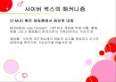 사이버섹스의매커니즘,사이버문화,성문화,성의식 6페이지