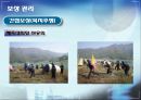 삼광주식회사,HRM운영기업,중소기업분석,HRM제도 18페이지