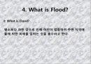 [환경지구과학] 홍수 (About (over)flood).ppt 5페이지