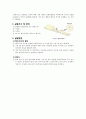 01 빛의 반사와 굴절 예비리포트 2페이지