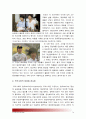 2013년 9월 일간지 신문기사 가운데 관심 있는 기사를 하나를 고른 후 사회학적 상상력을 발휘하여 기사 내용에 대한 다른 시각을 제시-사회학적상상력-[인간과사회A형] 10페이지