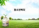 청소년 문제의 복지적 접근 보고서 1페이지