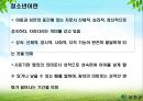 청소년 문제의 복지적 접근 보고서 2페이지