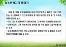 청소년 문제의 복지적 접근 보고서 5페이지