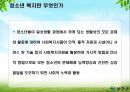 청소년 문제의 복지적 접근 보고서 8페이지