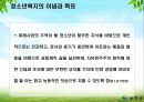 청소년 문제의 복지적 접근 보고서 9페이지