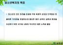 청소년 문제의 복지적 접근 보고서 10페이지