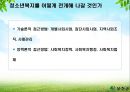 청소년 문제의 복지적 접근 보고서 12페이지