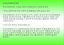 학교사회사업 (한국학교사회복지역사, 교육복지, 학교사회복지, 기본조건, 정의) PPT자료 8페이지