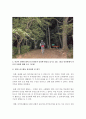 [현대인의여가생활 1공통] 현대인의 여가생활에서 다루고 있는 자신이 할 수 있는 레저스포츠 활동 중의 하나를 선택하고 다음의 내용에 맞추어 보고서를 작성 5페이지