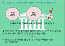 의원내각제 &이원집정부제 10페이지