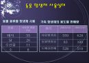 항생제 남용의 문제점과 해결 방안   16페이지