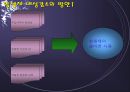 항생제 남용의 문제점과 해결 방안   18페이지
