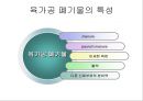  부산물 가공학 (육가공) 2페이지
