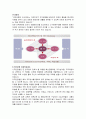 국민은행의 인사제도,채용정보,복리후생,연봉자료 정리 7페이지