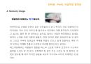ZMET을 통한 박근혜 이미지 Makeover  24페이지