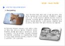 ZMET을 통한 박근혜 이미지 Makeover  33페이지
