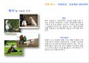 ZMET을 통한 박근혜 이미지 Makeover  54페이지
