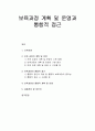 [보육과정] 보육 과정의 계획 및 운영, 보육과정의 통합적 접근, 보육과정의 통합적 계획 및 운영  1페이지
